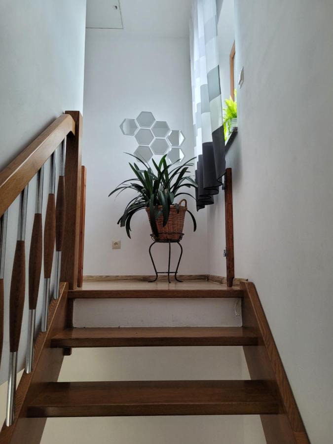 Agroturystyka Kaszuby Villagehome Borzytuchom Exterior photo