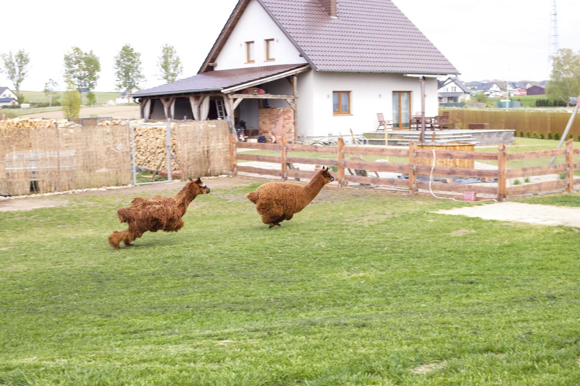 Agroturystyka Kaszuby Villagehome Borzytuchom Exterior photo